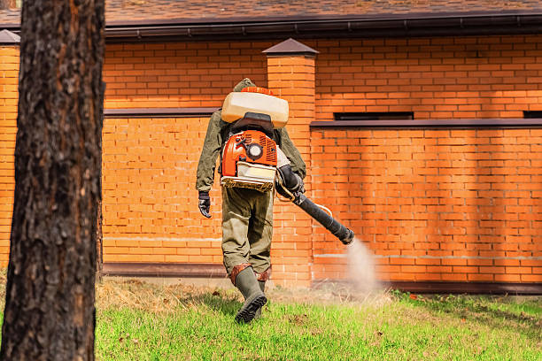 Trusted Mosquito Control service in Hastings, NE - Nex Pest Control